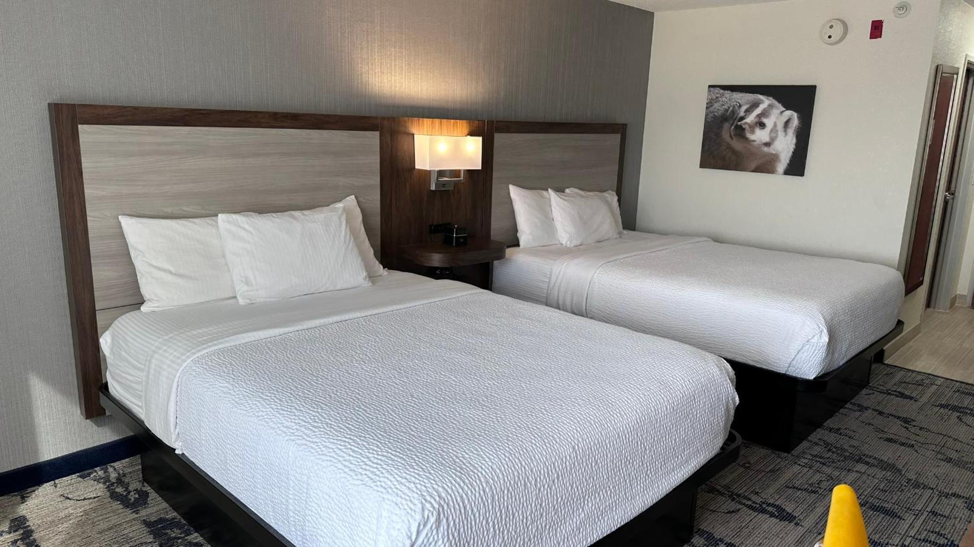 Отель La Quinta By Wyndham Milwaukee Sw New Berlin Экстерьер фото